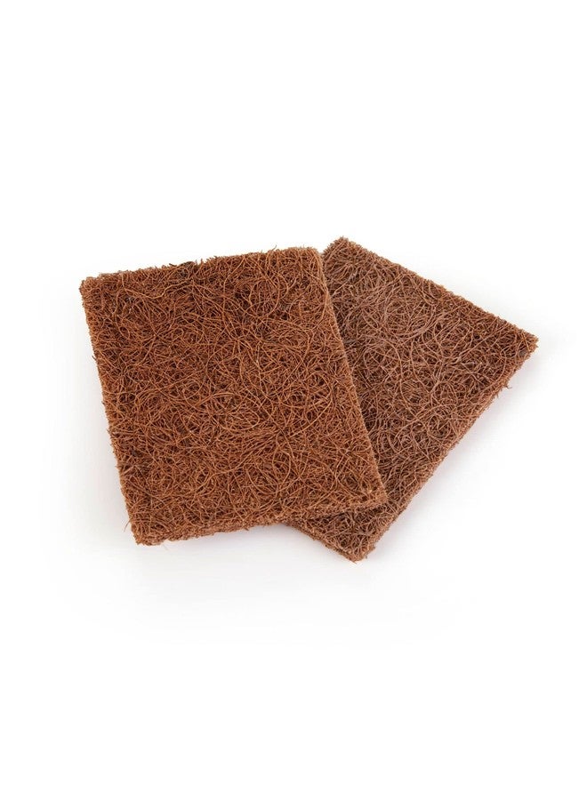 Ecopath Natural Coconut Coir Dishwashing Scrub Pad | Eco-Friendly & Biodegradable Utensil Scrubber | Long-Lasting & Tough Cleaning | Ideal for Dishes, Sinks, Tiles & Kitchen Surfaces | Pack of 10 - Image 2