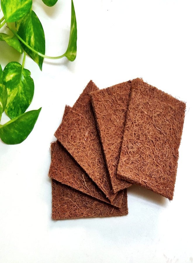 Ecopath Natural Coconut Coir Dishwashing Scrub Pad | Eco-Friendly & Biodegradable Utensil Scrubber | Long-Lasting & Tough Cleaning | Ideal for Dishes, Sinks, Tiles & Kitchen Surfaces | Pack of 10 - Image 3