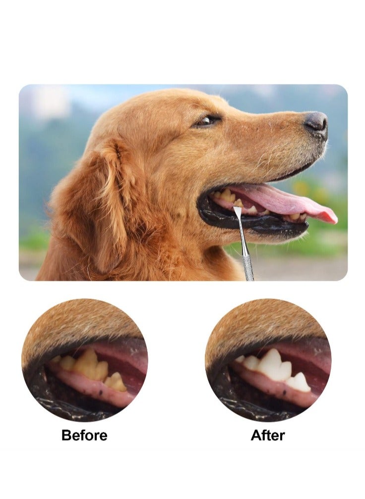 4 Pieces Pet Tooth Scaler and Scraper Set  Stainless Steel Pet Teeth Cleaning Tool Tartar Remover for Dogs Cats - Image 3