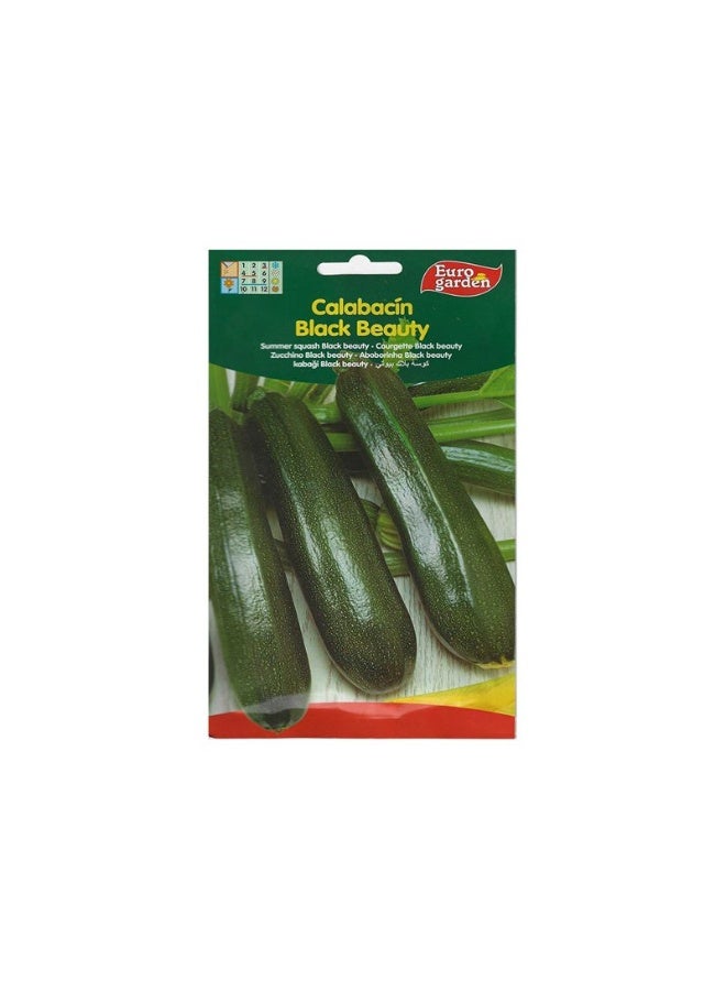 Euro Garden Calabacin Black Beauty Summer Squash Premium Quality Seeds