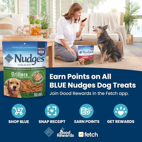 Blue Buffalo Nudges Grillers Natural Dog Treats Made with Real Chicken - Image 3