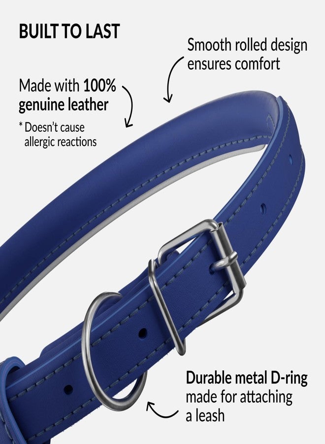 CollarDirect Reflective Rolled Leather Dog Collar, Soft Padded Round Puppy Collar, Handmade Genuine Leather Collar Dog Small Large Cat Collars 13 Colors (6-7 Inch, Deep Blue Reflective) - Image 3