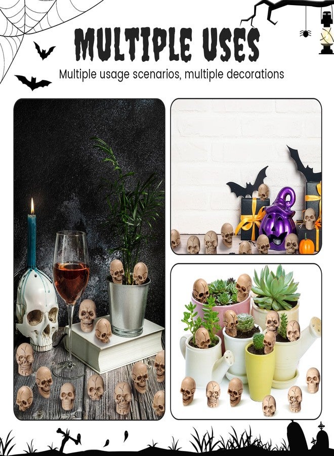 Civaner 40 Pcs Halloween Mini Skulls Miniature Resin Skeleton Heads Figurine Bulk Creepy Mini Skull Statues Decorations for Halloween Miniature Dollhouse Garden Vase Table Decor Party Favor - Image 4