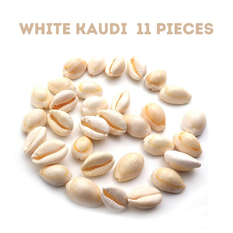 Senroar Sea Shell Pili Kodi, Yellow Kaudi, Tiger Kaudi, For Diwali Pooja Decoration- Decorative sea shell (White Kaudi 1 to 2 cm 11pcs) - Image 2