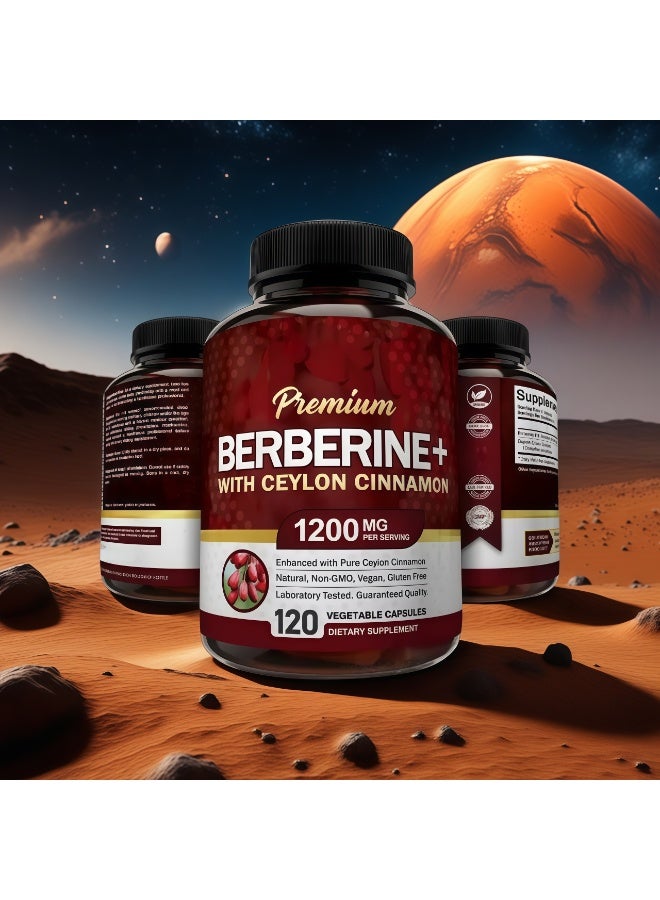بريميم قسط بربارين HCL 1200 ملغ - 120 كبسولة تحتوي على 100 ملغ قرفة سيلان لكل وجبة - مكمل جذر بربارين HCL - يقوي جهاز المناعة - ينتج حمض الهيدروكلوريك الأمثل بنسبة 8٪ - ينشط مفتاح التمثيل الغذائي الرئيسي AMPK - يدعم صحة القلب والأوعية الدموية والمعرفية - نباتي، غير معدّل وراثيًا - Image 2