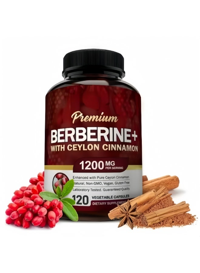 بريميم قسط بربارين HCL 1200 ملغ - 120 كبسولة تحتوي على 100 ملغ قرفة سيلان لكل وجبة - مكمل جذر بربارين HCL - يقوي جهاز المناعة - ينتج حمض الهيدروكلوريك الأمثل بنسبة 8٪ - ينشط مفتاح التمثيل الغذائي الرئيسي AMPK - يدعم صحة القلب والأوعية الدموية والمعرفية - نباتي، غير معدّل وراثيًا - Image 1