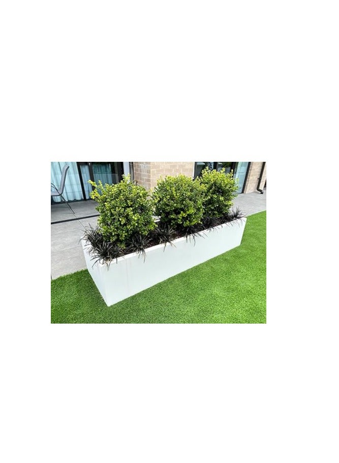 جي آر بي وعاء طويل مستطيل من الألياف الزجاجية GRP 90x30x30 سم (LWH) للنباتات وأواني الزهور ذات اللون الأبيض للداخلية والخارجية  - Image 2