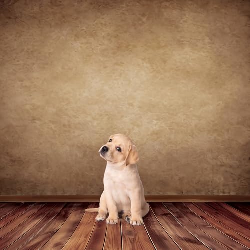 Riyidecor Brown Backdrop Rustic Wall Wooden Floor 5Wx7H Feet Soft Fabric Polyester Newborn Abstract Portrait Baby Photography Background Decorations Birthday Headshot Photo Backdrop for Photoshoot - Image 2