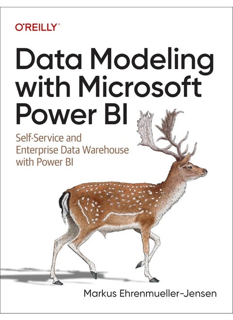 Data Modeling with Microsoft Power BI: Self-Service and Enterprise DWH with Power BI