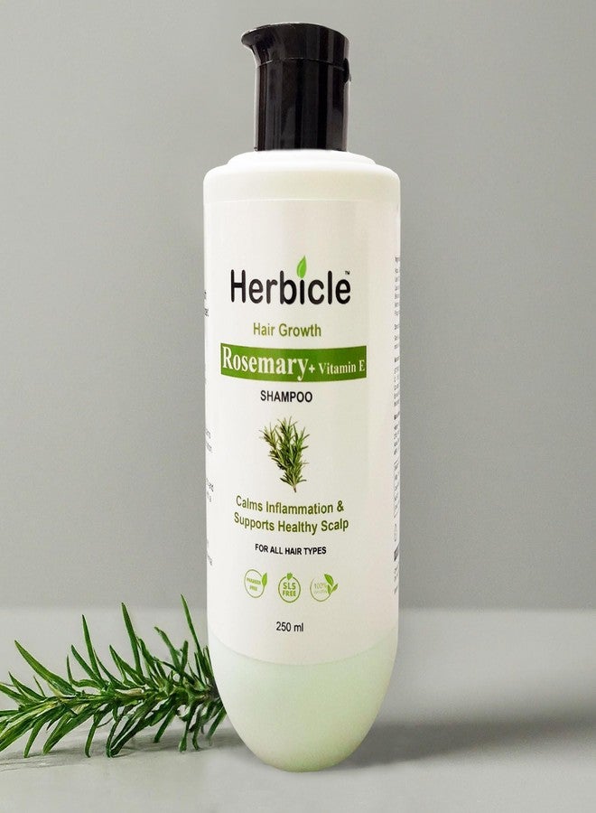 Herbicle شامبو هيربيكل بالروزماري وفيتامين هـ وماء الأرز وبروتين القمح وفيتامين ب5 | طبيعي 100% | لجميع أنواع الشعر | 250 مل - Image 2