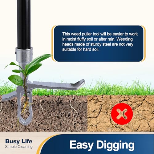 Yocada Weed Puller Tool Stand Up Weed Remover Tool with 4 Claw Steel Head Weeder Tool Long Handle Garden Hand Weeding Tool Easily Remove Weeds Roots Without Bending Pulling Kneeling 6259 - Image 3