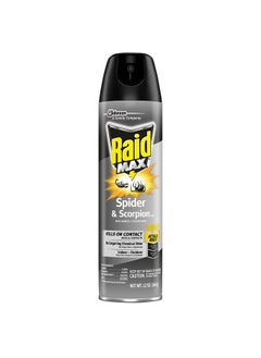 RAID Spider and Scorpion Killer, Kills spiders, scorpions, roaches, ants, Waterbugs, earwigs, 12 oz  - Image 1