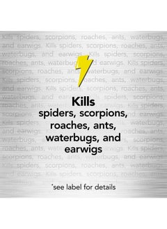 RAID Spider and Scorpion Killer, Kills spiders, scorpions, roaches, ants, Waterbugs, earwigs, 12 oz  - Image 5