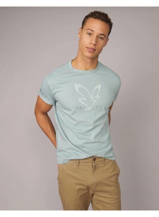 AE Logo Graphic T-Shirt - pzsku/ZCE822085DCA909E2877CZ/45/1753960928/da2dd136-ad11-4863-af61-1f2dd0ab5221