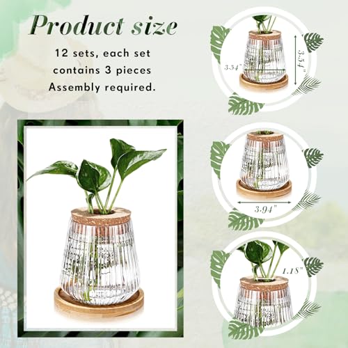 Baderke 12 Packs Propagation Vases for Plants Plastic Plant Propagation with Hole Lid and Bamboo Stand Growing in Water Hydroponic Home Office Desktop Vase Decoration - Image 3