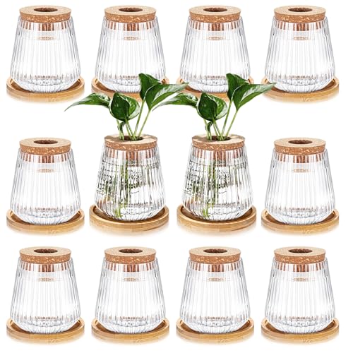 Baderke 12 Packs Propagation Vases for Plants Plastic Plant Propagation with Hole Lid and Bamboo Stand Growing in Water Hydroponic Home Office Desktop Vase Decoration - Image 1
