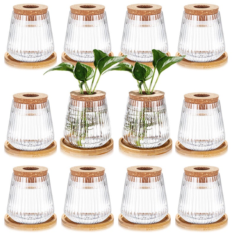 Baderke 12 Packs Propagation Vases for Plants Plastic Plant Propagation with Hole Lid and Bamboo Stand Growing in Water Hydroponic Home Office Desktop Vase Decoration - Image 2
