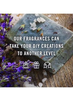 P&J Trading Winter Set of 14 Premium Grade Fragrance Oils - 10ml  - Image 2