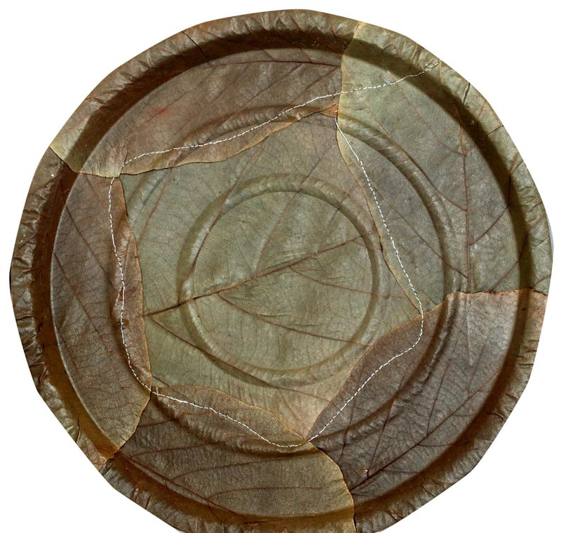Nature leaf 100 BioDegradable Disposable EcoFriendly Wedding Anniversary Birthday Party Events Occasion Compostable Natural Palash Leaf Plates 14 Pack of 25 - Image 1