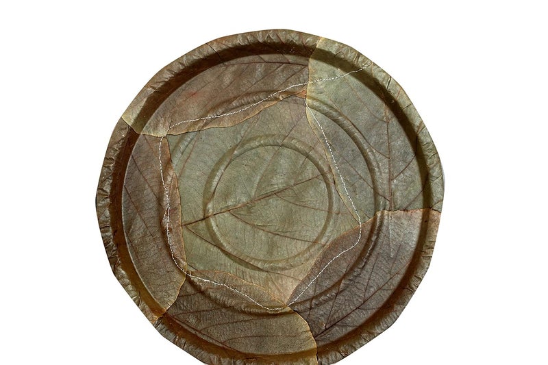 Nature leaf 100 BioDegradable Disposable EcoFriendly Wedding Anniversary Birthday Party Events Occasion Compostable Natural Palash Leaf Plates 14 Pack of 25 - Image 2