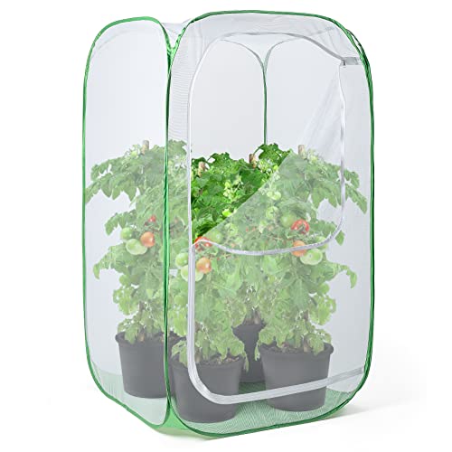 RESTCLOUD 36" Outdoor Mesh Plant Enclosure, Plant Cover for Pests, Bird and Pest Protection Guard for Fruit, Vegetables, Flowers and Herbs Pop-Up Cage 24 x 24 x 36 Inches - Image 1