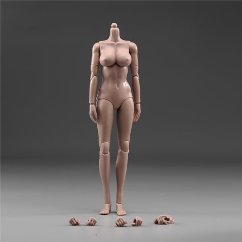 RoofWorld 16 Female Suntan Pale Action Figure Dolls 12 Middle Big Breasts Super Flexible SemiSilicone Body Fit 16 Head Sculpt Suntan Oversize Bust - Image 1
