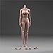 RoofWorld 16 Female Suntan Pale Action Figure Dolls 12 Middle Big Breasts Super Flexible SemiSilicone Body Fit 16 Head Sculpt Suntan Oversize Bust - Image 2