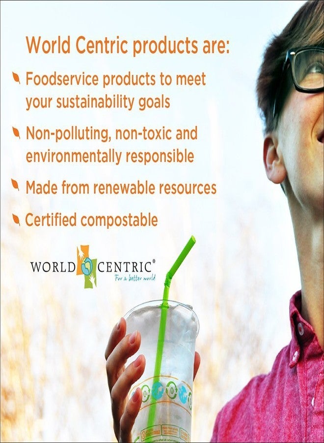 World Centric - BB-SC-U8 100% Compostable Bowls by , Made from Unbleached Plant Fiber, Soup Bowls, 8 oz (Pack of 500) - Image 2