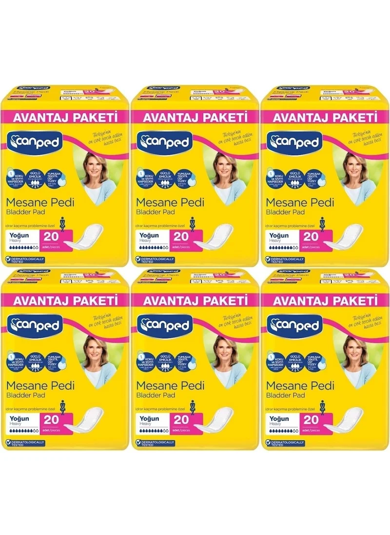 كانبد  Bladder Pad Advantage Pk Classic L-Large Size Dense 120 Pieces
