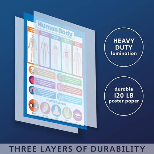 Palace Learning 2 Pack - Solar System Poster for Kids & Understanding the Human Body Chart (LAMINATED, 18" x 24") - Image 3