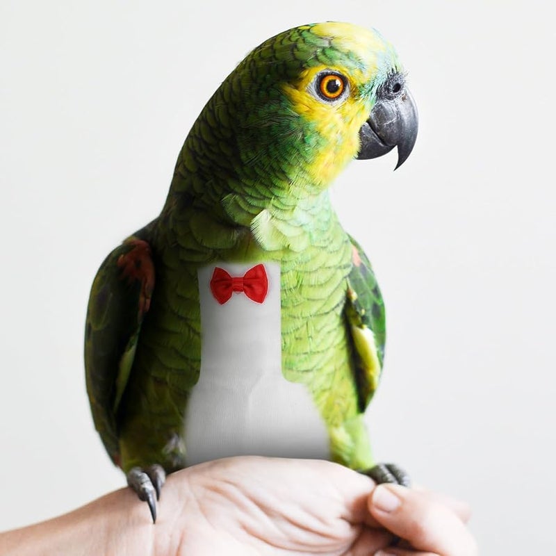 بدلة طيران بامبرز ببغاء قابلة لإعادة الاستخدام ملابس طيور أبيض 2XL للأنشطة الخارجية - Image 3