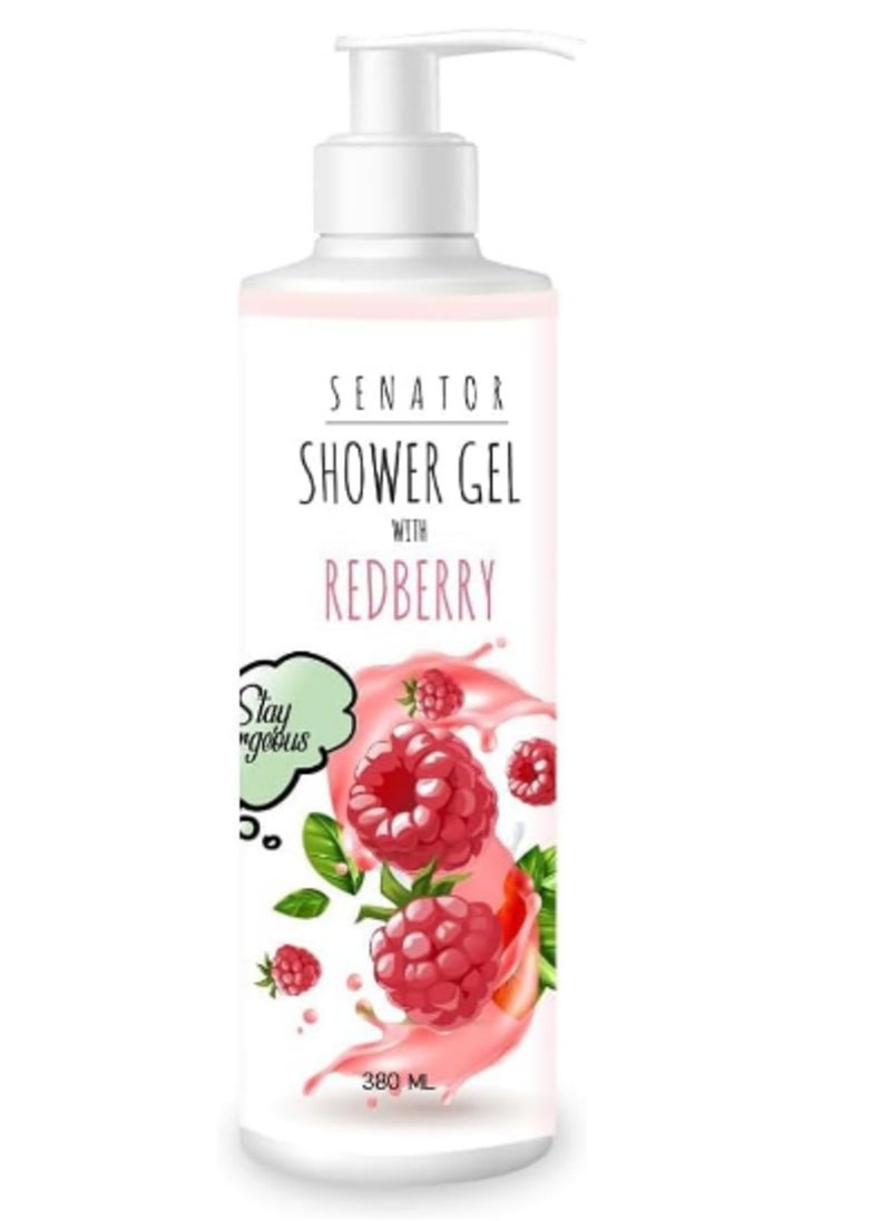 SENATOR - senator shower gel with redberry 380ml - Image 1