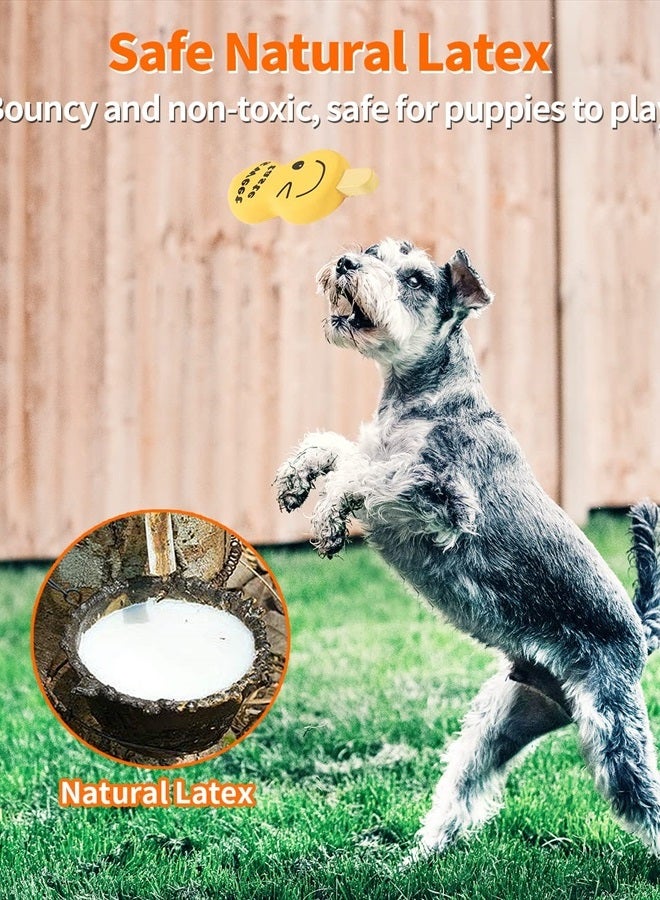 SCHITEC Squeaky Dog Toy, [4 Pack] Natural Latex Rubber Interactive Toys for Small Dogs Puppies - Image 4
