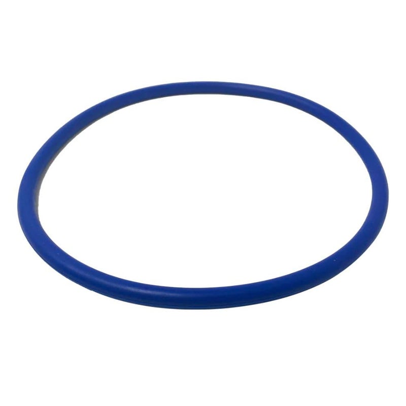 Pentair ORing IF3IP3 VSF Trap Lid 356189Z - Image 1