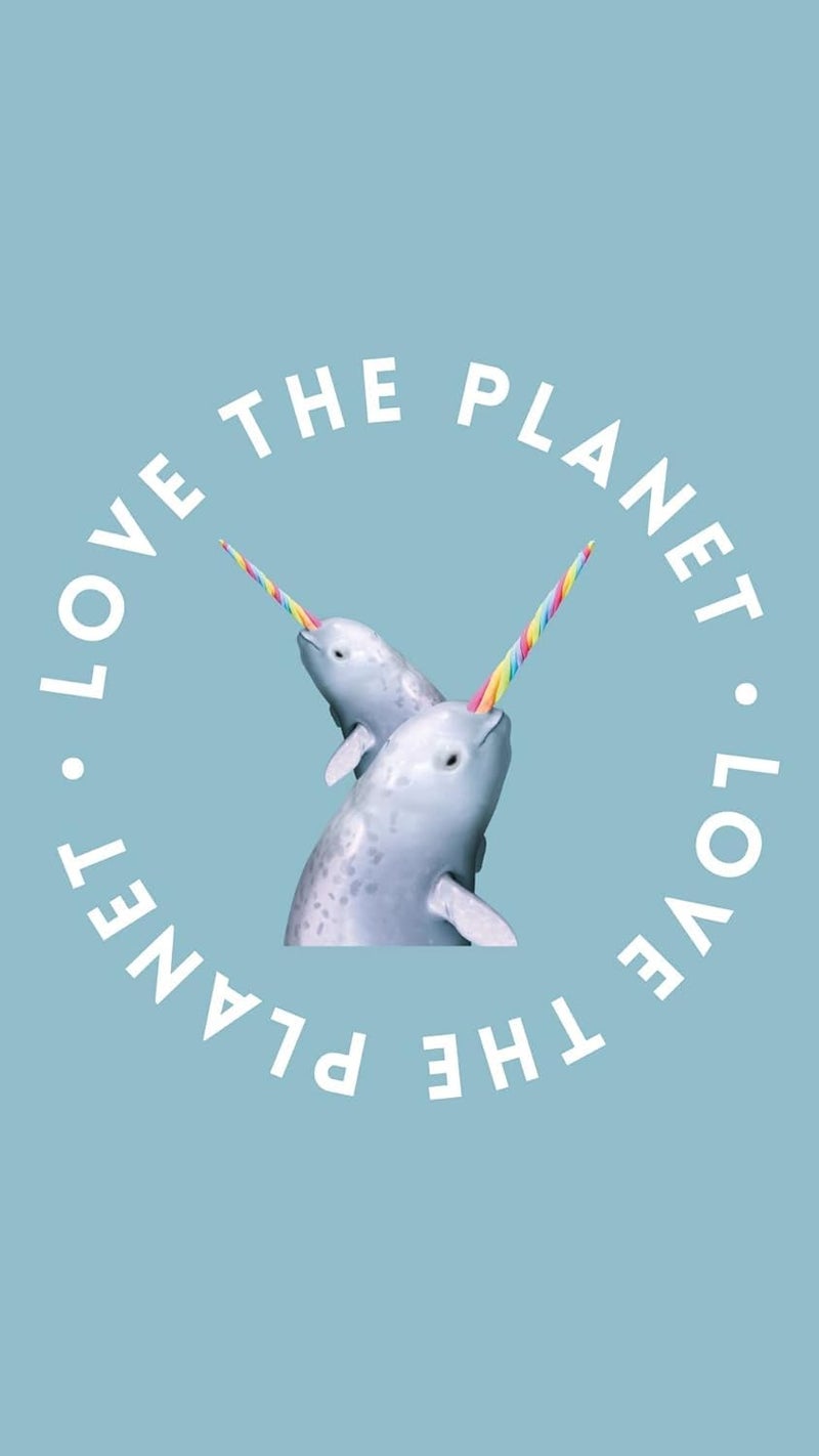 Treaclemoon Creamy Shea Butterfly Bath & Shower Gel | Size - 500 ml | Natural Creamy Shea Extracts Body Wash Gel for Clean, Soft & Smooth Skin - Image 5