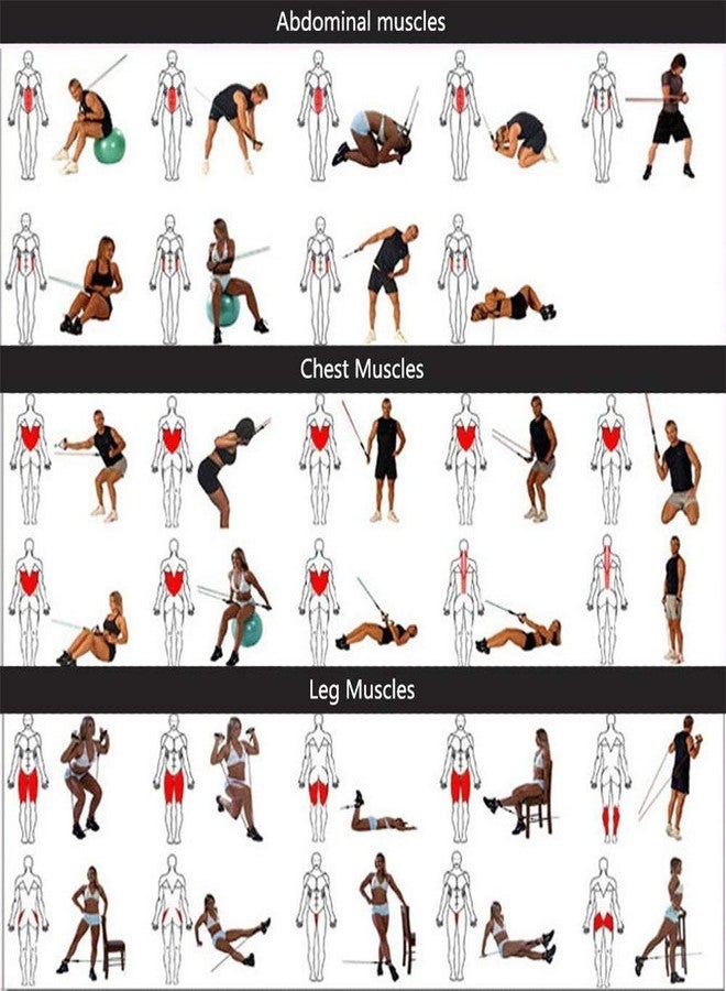ZIVIK Resistance Tube Exercise Bands for Stretching, Workout, and Toning for Men, and Women (Multicolor) - Image 5