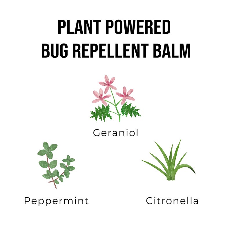 Quitch Mosquito Bug Repellent Balm, Bug Spray Alternative Insect Repellent Travel Size, DEET-Free Vacation Essentials Cruise Must Have, Natural Bug Repellent Wipes Alternative, Made in The USA - Image 5