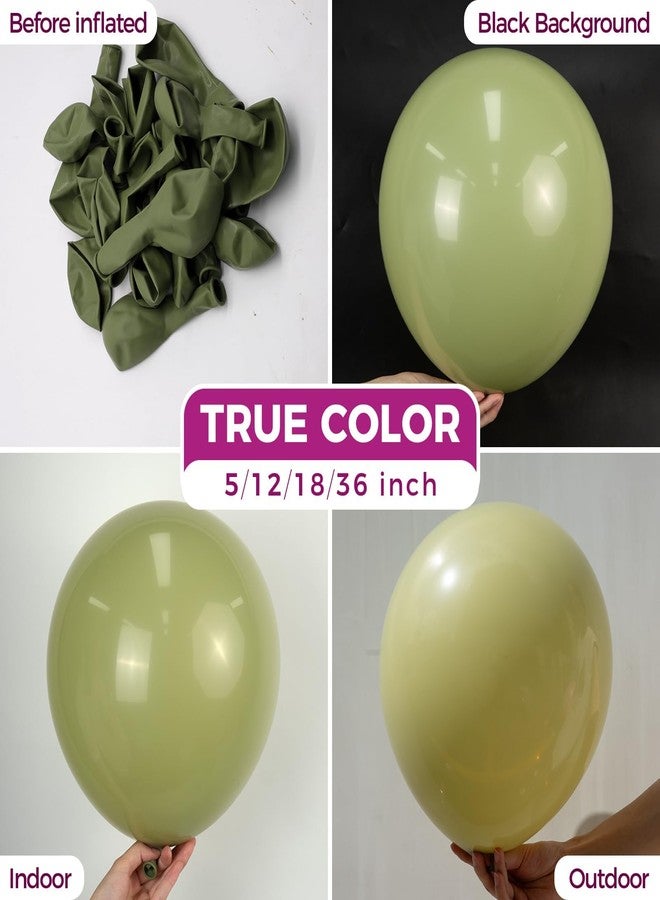 Bezente Sage Green Balloons Latex Party Balloons - 100 Pack 12 inch Round Helium Olive Green Balloons for Woodland Birthday Bridal Shower Wedding Graduation Anniversary Safari Jungle Party Decorations - Image 2