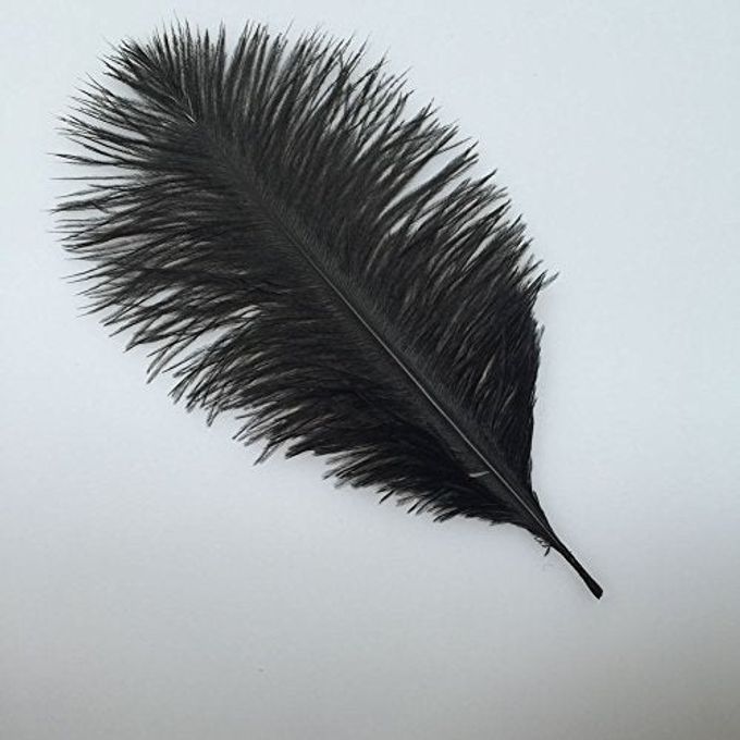 Sowder 20pcs Natural 10-12inch(25-30cm) Ostrich Feathers Plume for Wedding Centerpieces Home Decoration(Black) - Image 2