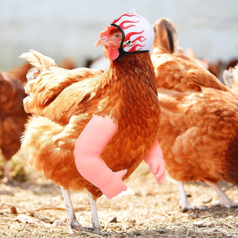 Gejoy 2 Pieces Hens Helmet Chicken Arms Toys Set Include Chicken Hats and Doll Arms for Small Pet Supplies Animal Hats Doll Accessories for Hens Small Pet Parakeet Pets Supplies Photoshoots and Pranks - Image 5
