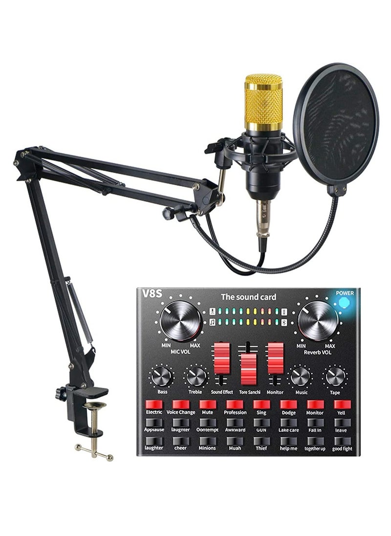 V8s Professional Condenser Microphone With V8S Live Sound Card And Studio Recording Broadcasting Set Black/Gold  - Image 1