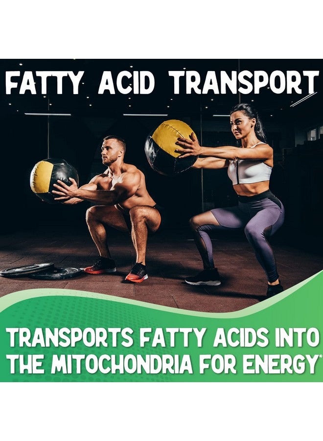 XPRS Nutra بودرة إكس بي آر إس نوترا إل كارنيتين إل تارترات - إل كارنيتين تارترات نقي ممتاز - بودرة إل كارنيتين - بودرة إل كارنيتين صديقة للنباتيين - مكمل حمض أميني إل كارنيتين (4 أونصة) - Image 3