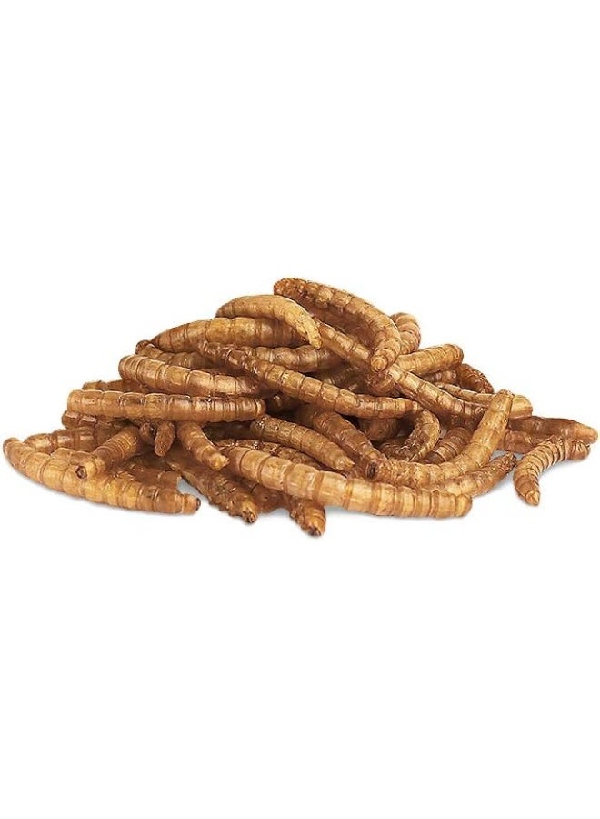 Little One Mealworms Snack - 70g Brown - Image 2