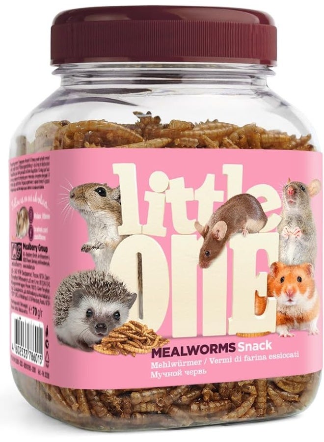 Little One Mealworms Snack - 70g Brown - Image 1