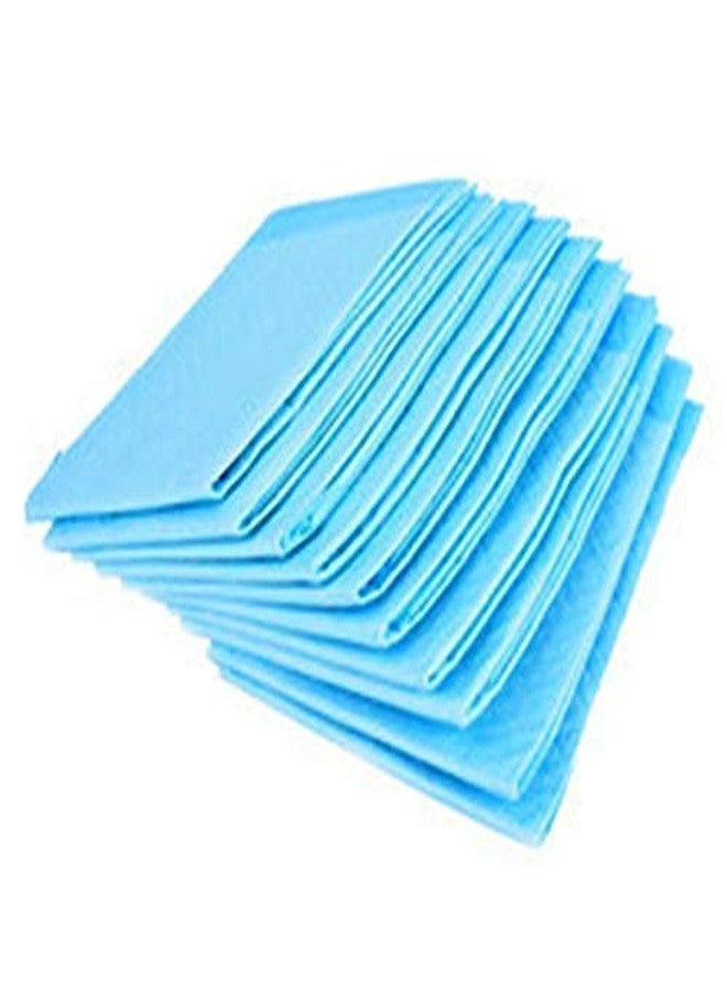 TAN45 Disposable Underpads 60 x 90 cm (10-Pics) Incontinence Pads, Bed Covers, Puppy Training, Molly Sheet | Thick, Super Absorbent Protection for Kids, Adults, Elderly | Liquid, Urine, Accidents (10) - Image 3