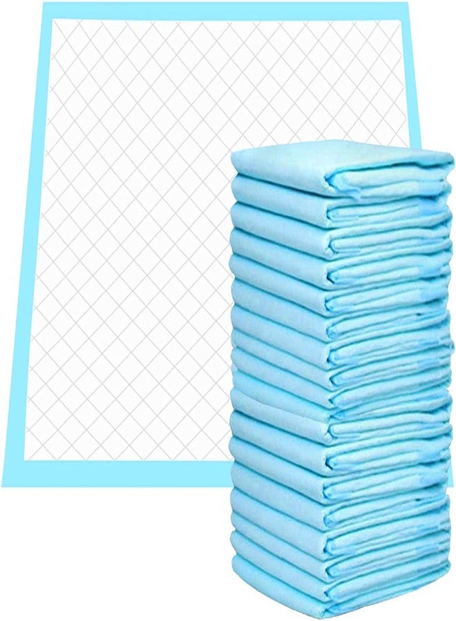 TAN45 Disposable Underpads 60 x 90 cm (10-Pics) Incontinence Pads, Bed Covers, Puppy Training, Molly Sheet | Thick, Super Absorbent Protection for Kids, Adults, Elderly | Liquid, Urine, Accidents (10) - Image 1