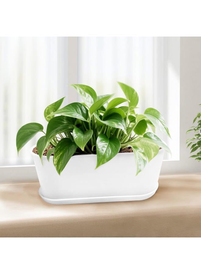 Torfican Planter Window Box with Saucers 5 Sets,Plastic Planters with Multiple Drainage Holes and Trays,Flower Pots for Home Garden Succulents Modern Decorative Window Planter Box,Garden Pot Plant Container - Image 5