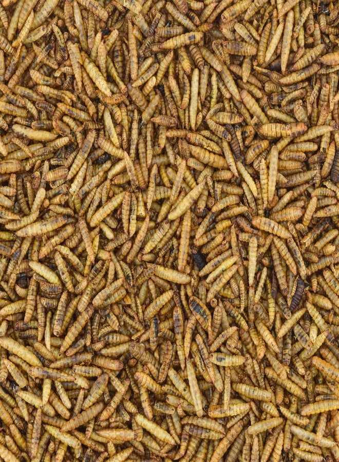 يرقات ذبابة الجندي الأسود المجففة من Worm Nerd WN62، وزن 2 رطل، غير معدلة وراثيًا، غنية بالبروتين والكالسيوم، تُقدم كعلاج للدجاج والطيور والزواحف والبرمائيات والأسماك. - Image 2