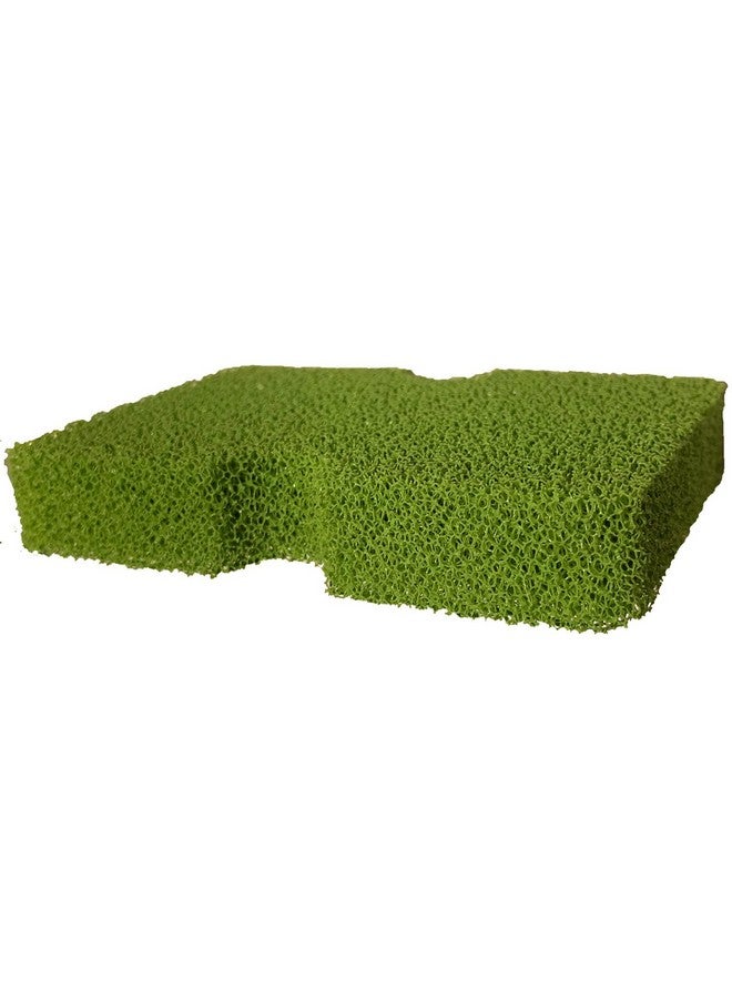 Epona Tacknology Tack Sponge Moss - Image 1