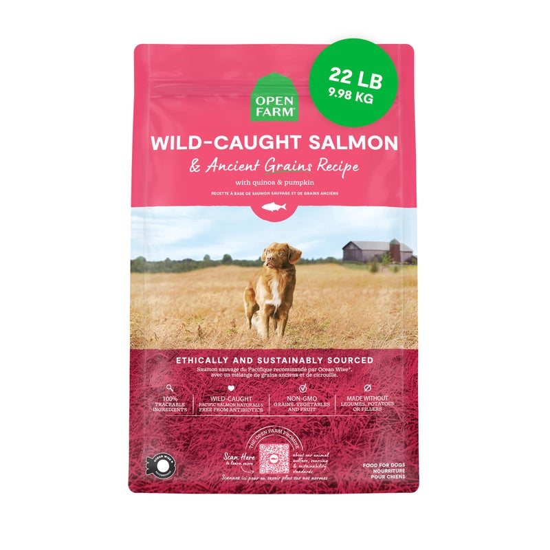 Open Farm, Ancient Grains Dry Dog Food, Protein-Rich & Nutrient Dense, 90% Animal Protein Mixed with Non-GMO Fruits, Veggies and Superfoods, Wild Caught Salmon Recipe, 22lb Bag - Image 1